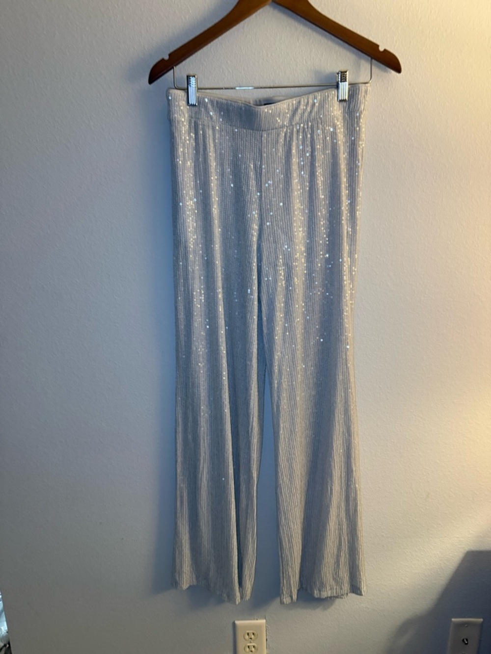 wild fable Cream Metallic Sequins Pants